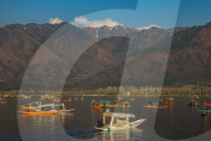 Sunny Weather In Kashmir