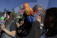 Historic: Mexico City Congress Approves Resolution Banning Violent Bullfighting