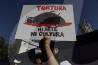 Historic: Mexico City Congress Approves Resolution Banning Violent Bullfighting