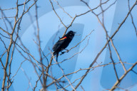 Wildlife At The Oxbow Nature Conservancy
