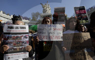 Historic: Mexico City Congress Approves Resolution Banning Violent Bullfighting