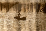 Wildlife At The Oxbow Nature Conservancy