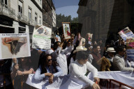 Historic: Mexico City Congress Approves Resolution Banning Violent Bullfighting