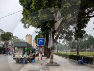Mobile Street Vendor Selling Agricultural Supplies In Vietnam