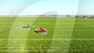 Agricultural Science Management