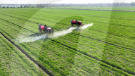 Agricultural Science Management