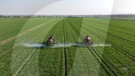 Agricultural Science Management