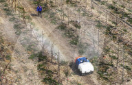 Orchard Multifunctional Robot Export