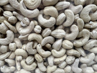 Cashew Nut Industry In Kerala