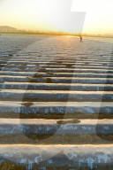 Agricultural Management