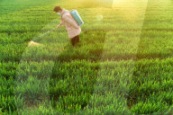 Agricultural Management