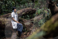 'This is your mission': why one Brazilian doctor Adana Kambeba is training to be a shaman