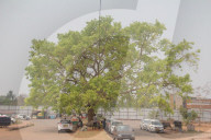 India Spring Season