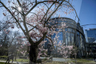 Springtime at the heart of European politics in Brussels