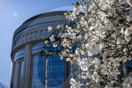 Springtime at the heart of European politics in Brussels