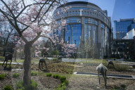 Springtime at the heart of European politics in Brussels
