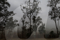 Spring Equinox 2025 And Environmental Contingency In Mexico