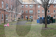 Shooting On Wilson Avenue In Bushwick Brooklyn New York