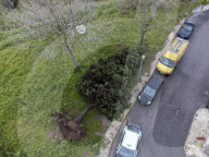The Effects Of Storm Martinho