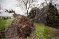 The Effects Of Storm Martinho