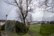 The Effects Of Storm Martinho