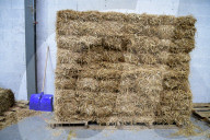 Bruno Bonnell Visits The Bois Paille Factory In Villefranche-sur-Saone