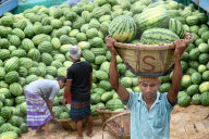 Watermelons Fruit Market In Dhaka.