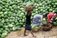Watermelons Fruit Market In Dhaka.
