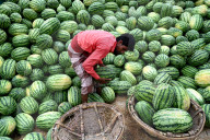 Watermelons Fruit Market In Dhaka.