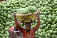 Watermelons Fruit Market In Dhaka.