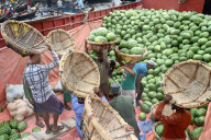 Watermelons Fruit Market In Dhaka.