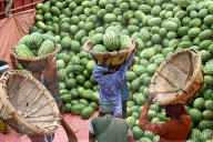 Watermelons Fruit Market In Dhaka.