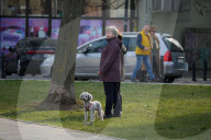 Daily Life In Warsaw