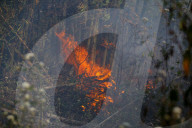 Forest Fire Rages In Nepal