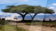 FIA World Rally Championship WRC Safari Rally Kenya 2025