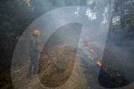 Forest Fire Rages In Nepal