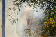 Forest Fire Rages In Nepal