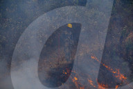 Forest Fire Rages In Nepal