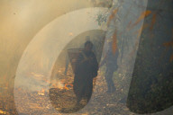 Forest Fire Rages In Nepal