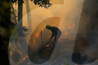 Forest Fire Rages In Nepal