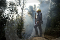 Forest Fire Rages In Nepal