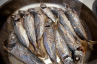 Horse Mackerel In A Pan