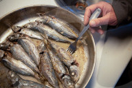 Horse Mackerel In A Pan