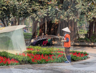 Gardener Watering Public Park In Hanoi