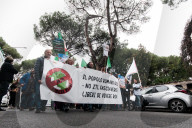 Ome Demonstration Against The ZTL: "Not To Rearrange And Social