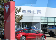 Protest Against Elon Musk At Edmonton Tesla Dealership