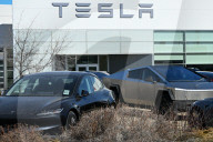 Protest Against Elon Musk At Edmonton Tesla Dealership