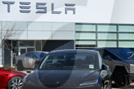 Protest Against Elon Musk At Edmonton Tesla Dealership