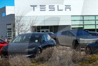 Protest Against Elon Musk At Edmonton Tesla Dealership