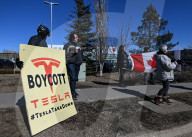 Protest Against Elon Musk At Edmonton Tesla Dealership